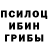 Псилоцибиновые грибы мухоморы Tehaxis