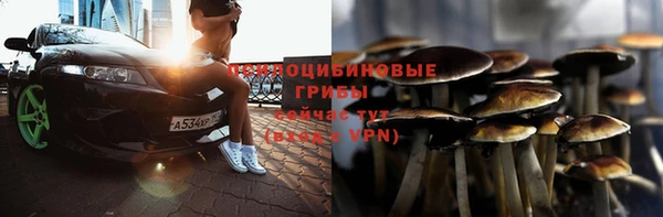 ПСИЛОЦИБИНОВЫЕ ГРИБЫ Абдулино