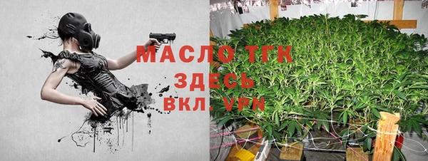 дмт Абаза