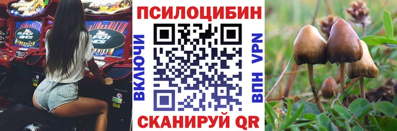 Псилоцибиновые грибы мухоморы  Тында 