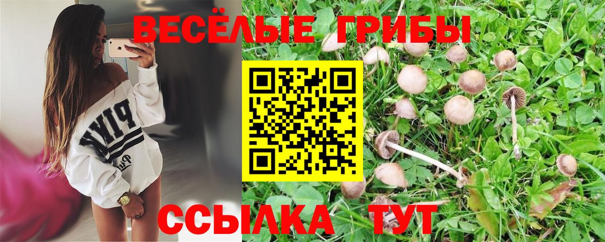 Галлюциногенные грибы MAGIC MUSHROOMS  Псилоцибиновые грибы MAGIC MUSHROOMS  Тында  Вход с VPN 