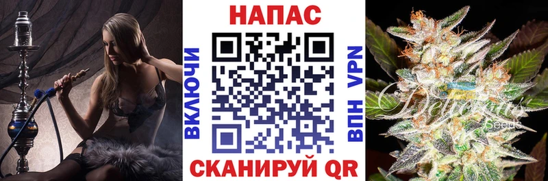 купить наркотик  Тында  Бошки марихуана ГИДРОПОН 